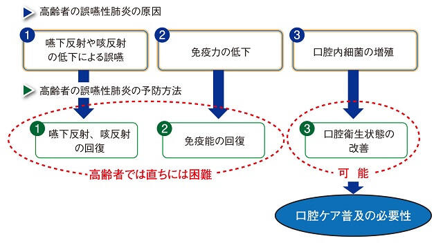 図1：高齢者の誤嚥性肺炎の原因と予防方法を表すフローチャート。