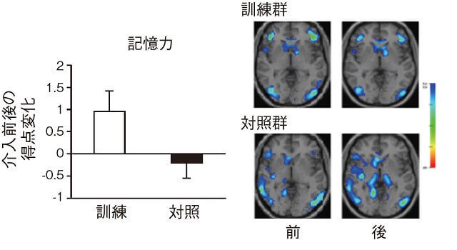 図3：運動の訓練を受けた群と対照群との記憶力の差を示したグラフと両群の脳の画像