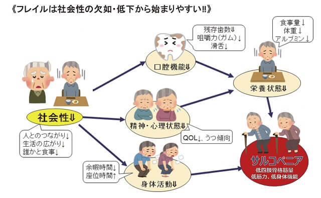 図1：サルコペニアに至る機序と社会性の重要性を示す図。