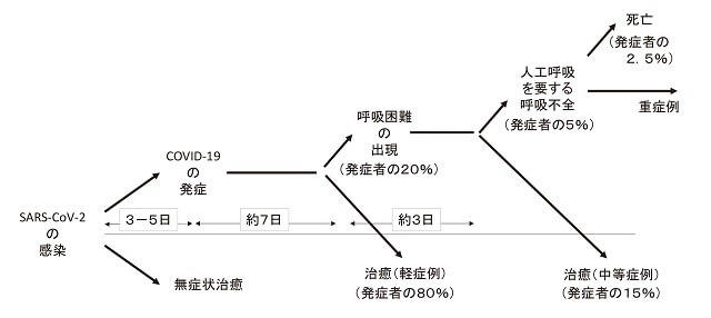 図1:COVID-19の典型的な臨床経過モデルを表す図。