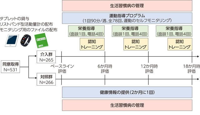 図1、J-MINT研究のフローを表す図。