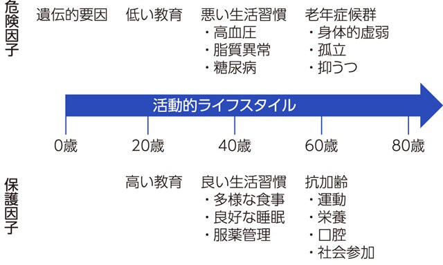 図1、ライフコースを通した認知症予防を表す図。