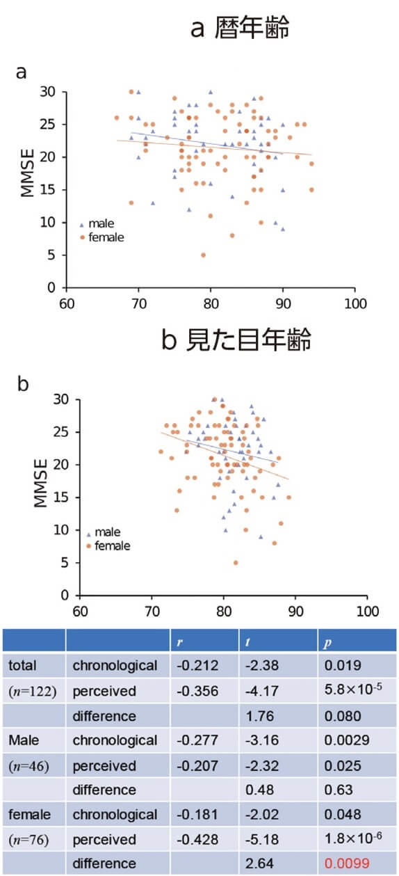 図2-1：MMSEと暦年齢、見た目年齢の相関係数を表す図。