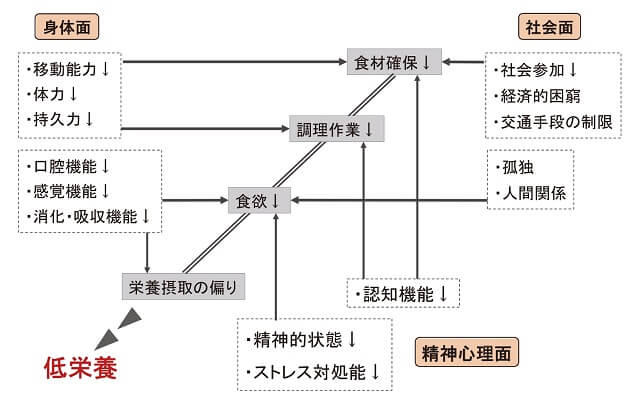 図2：フレイルの多面的要素と食行動の関係を表す図。