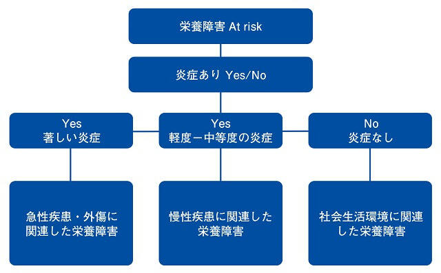 図2：AND/ASPENによる病院の成人低栄養の分類を表す図。