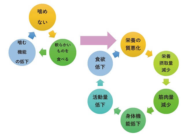 図2：咀嚼機能低下による栄養と身体機能への影響を表す図。