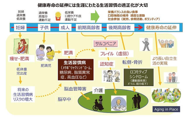 図2：人生100年時代の食に関する世代別の課題を示す図。