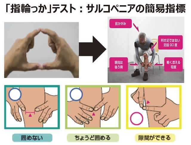 図3：サルコペニアの簡易指標になる指輪っかテストの方法を表す図。