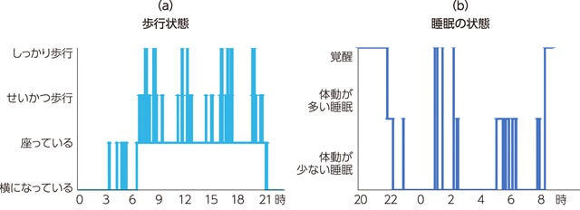 図3、歩行パターン（a）と睡眠パターン（b）を表す図。