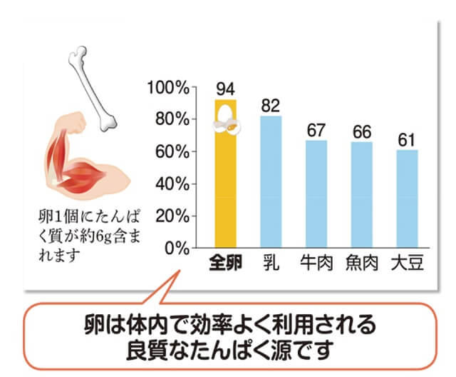 図4：食材別体内たんぱく質利用効率を表す図。