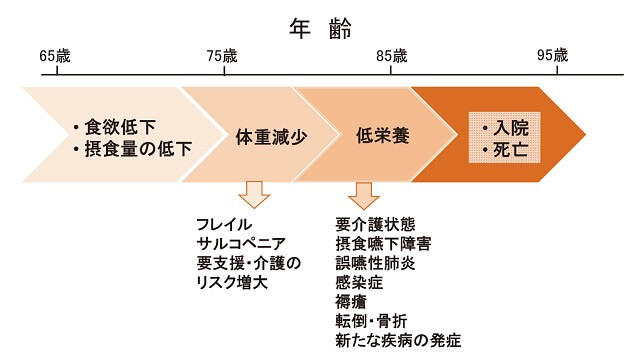 図7：加齢と栄養関連事項の時間経過を表す図。