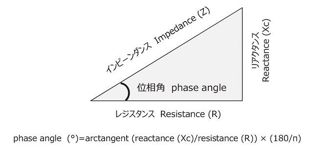 図7：骨格筋の質を示す指標である位相角を表す図。リアクタンスとレジスタンスの値より算出する。