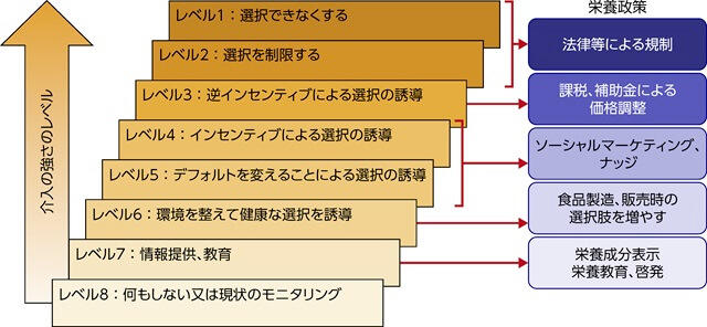 図、介入のはしごを栄養政策にあてはめた図。
