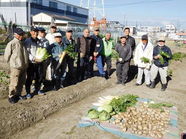 写真2、冬野菜を収穫をするアグリの皆さんの写真（2021年12月撮影、鶴見区社協提供）。