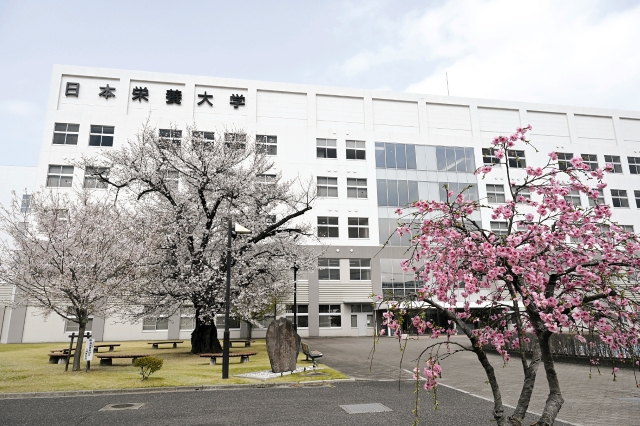 2026年度から共学として新スタートした桜満開の日本栄養大学坂戸キャンパスの外観の写真。