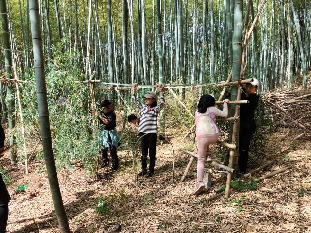 週末に竹林で開催される子どもの里山教室の様子を表す写真。