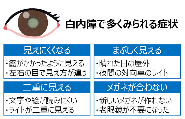 図5：白内障で多くみられる症状を示す図。見えにくくなる（霧がかかったように見える、左右の目で見え方が違う）、まぶしく見える（晴れた日の屋外や夜間の対向車）、二重に見える（文字や絵が読みにくい、ライトが二重に見える）、眼鏡が合わない（新しい眼鏡が作れない、老眼鏡が不要になった）等の症状がみられる。