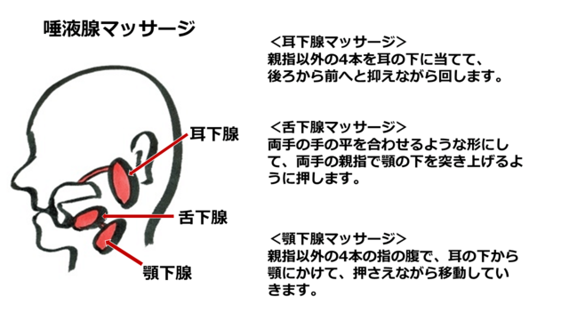 図2：唾液腺マッサージのイラスト図。耳下腺・舌下腺・顎下腺をマッサージすることで唾液を出やすくする