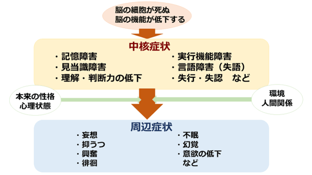 図：認知症の発症による直接的に起こる中核症状、中核症状が性格や環境などに影響して現われる周辺症状を説明する図。