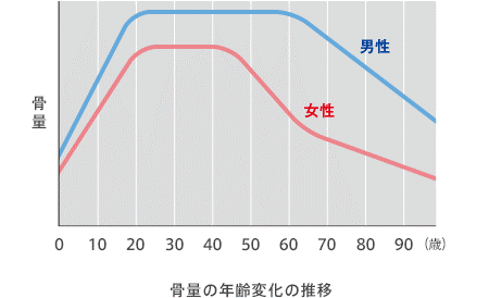 グラフ1：男性は60代から、女性は40代から骨量が減少していくことを示したグラフ。