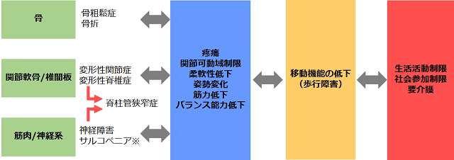 図1:ロコモティブシンドロームの概念を説明するイメージ