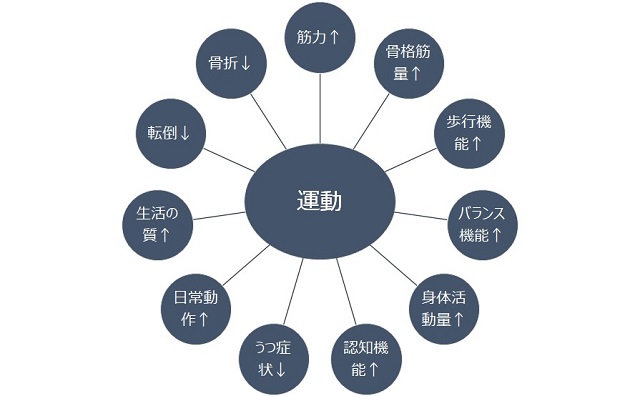 図1：サルコペニアの予防や治療に対する運動の効果を表す図。