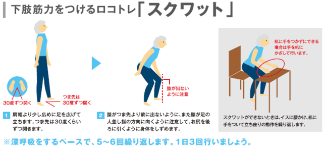 図2：下肢筋力をつけるロコトレ「スクワット」の仕方を表した図。手順やポイントは次のとおり