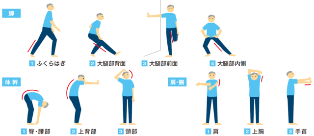 図2：20秒程度ゆっくり伸ばすことで、全身の筋肉や関節をほぐす例を示している図。ふくらはぎ、大腿部背面、大腿部全面、大腿部内側、臀・腰部、上背部、頸部、肩、上腕、手首の部位を示している。