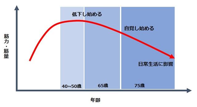 図2：加齢に伴う筋量・筋力の40歳頃からの変化を表す図。