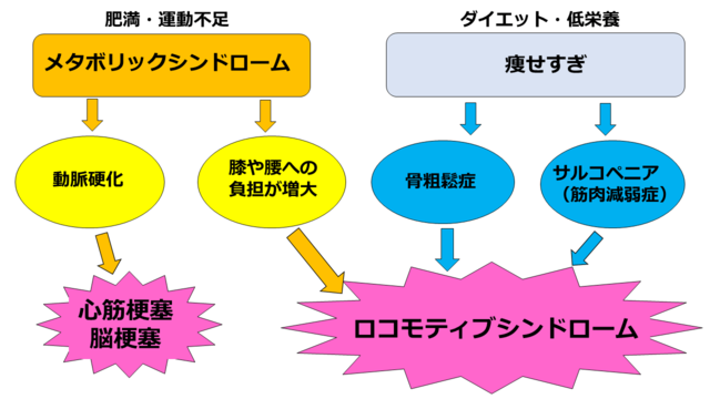 図：肥満・運動不足によるメタボリックシンドロームやダイエット・低栄養による痩せすぎかからロコモティブシンドロームへとつながる流れを示した図。