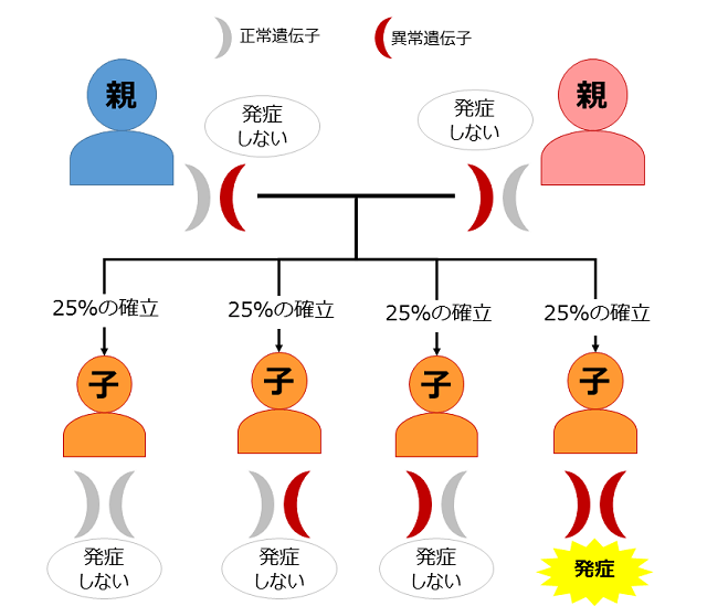 図：劣勢遺伝の仕組みを示す図。親が遺伝子の異常を１つずつ持っていた場合、両親から以上のある遺伝子を父親・母親から１つずつ、計２つ受け継いでしまった子はロスムンド・トムソン症候群を発症することを示す