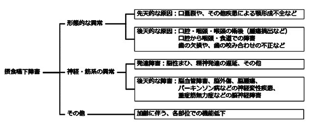 図：摂食嚥下障害の原因を示す図。摂食嚥下障害の原因には形態的以上と神経・筋系の異常と加齢に伴うか機能低下の3つに分類することができる。