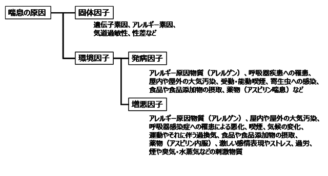 図：喘息の原因となる要因を示す図。喘息の原因となる因子は個体因子と環境因子に大別され、環境因子には発病因子と憎悪因子に分けられる。