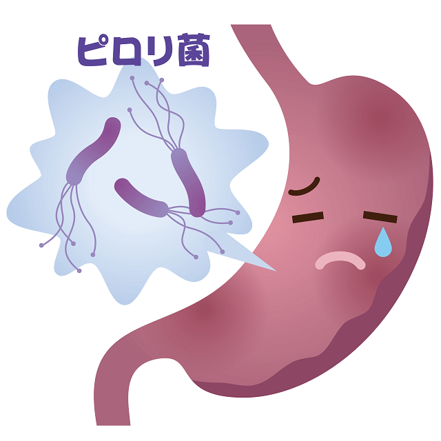 図：胃や腸の潰瘍の発生に強く関わるピロリ菌のイラスト