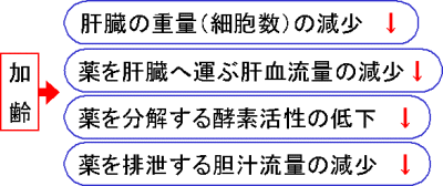 図1：加齢に伴う薬物代謝（分解）酵素の減少を示す図。加齢に伴い、肝臓の重量（細胞量）の減少、薬を肝臓へ運ぶ肝血流量の減少、薬を分解する酸素活性の低下、薬を排泄する胆汁流量の減少が見られる。