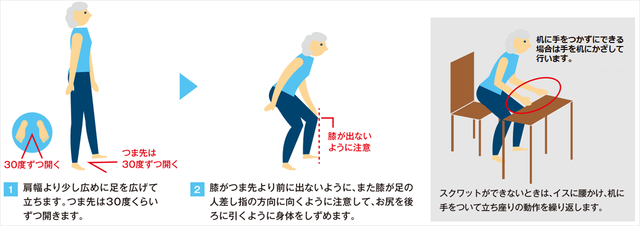 図3:ロコトレ「スクワット」の手順を示す図。肩幅より少し広めに足を広げて立ちつま先を30度くらいずつ開きます。膝を足の人差し指の方向に向け、つま先より前に出ないようお尻を後ろに引くように身体を沈めます。スクワットができない時は椅子に腰かけ机に手をついて立ち座りの動作を繰り返します。