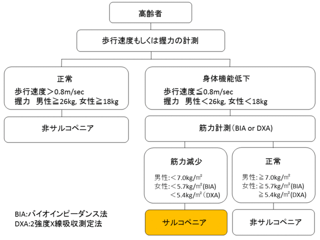 低下 筋力 高齢 者