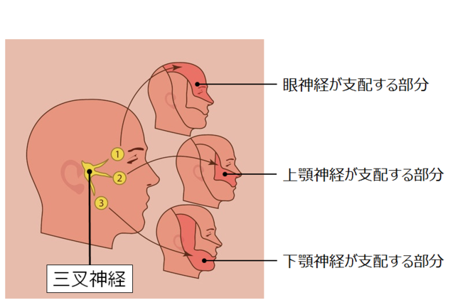 帯状疱疹の症状 健康長寿ネット