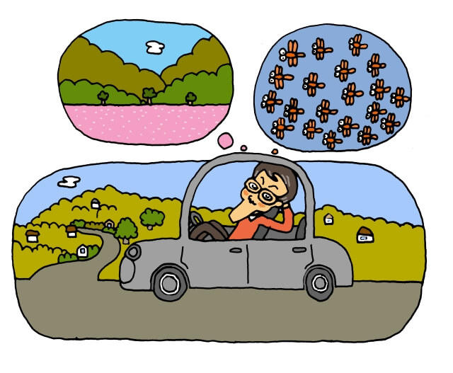 著者が車中で丘を想像している様子を表した図