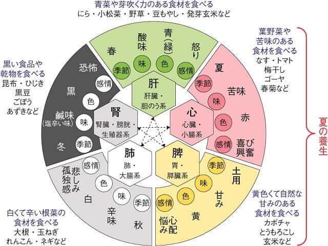 図:五臓別のこころの不調と治し方を表す図。