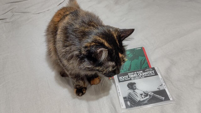 写真:猫の傍らに2枚のCD
