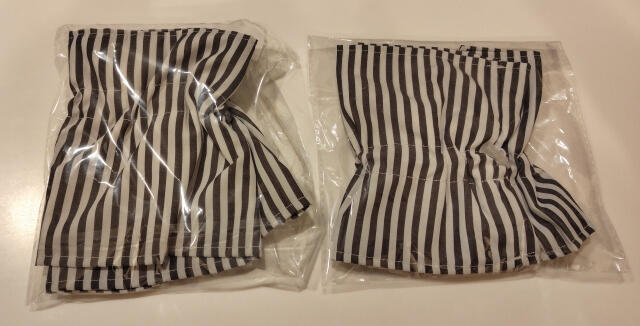 写真：愛猫もふこのために購入したエリザベスカラーの写真