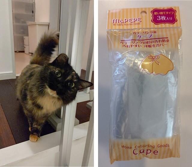 写真：筆者の愛猫もふこの家での様子と訪問看護での洗髪に使用した使い捨てケープの様子を表わす写真。