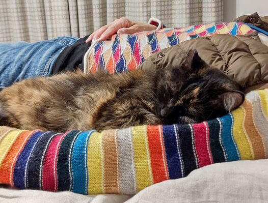 写真：愛猫もふこと添い寝する様子を表す写真。
