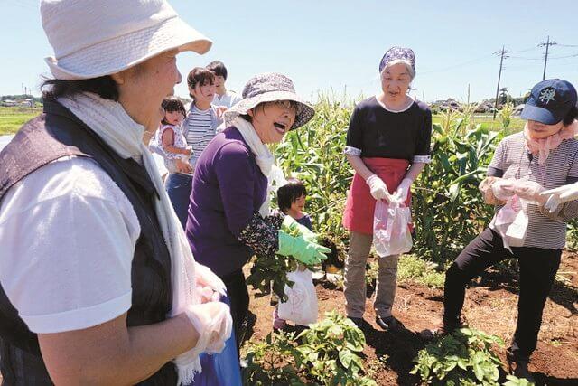 写真5：みちくさファームで野菜作りを通して地域の住民が集う様子を表わす写真。