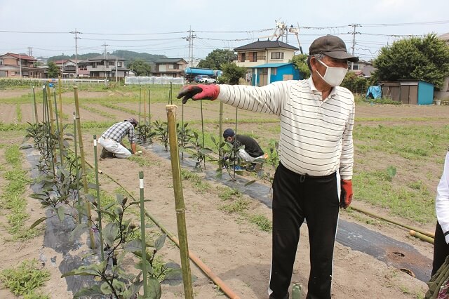 写真6：たんぽぽ自然農園の農業指導者である熊田勝男さんが、農園で担当者に指導する様子を表す写真。