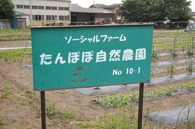 写真：埼玉県飯能市にあるソーシャルファームたんぽぽ自然農園にある看板を表す写真。