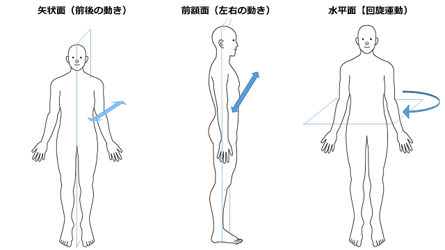 「前額面 矢状面 水平面　動き」の画像検索結果