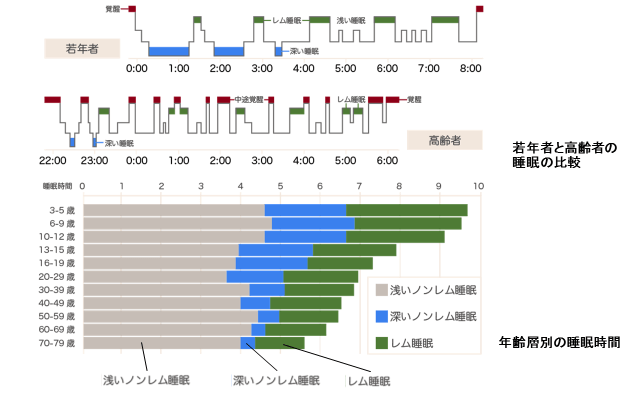 図1:若年者と高齢者の睡眠の特徴の比較を示すグラフを含む図。高齢者は深い眠りのノンレム睡眠の時間が年を重ねるごとに減り、全体的に浅い眠りとなることをあらわす