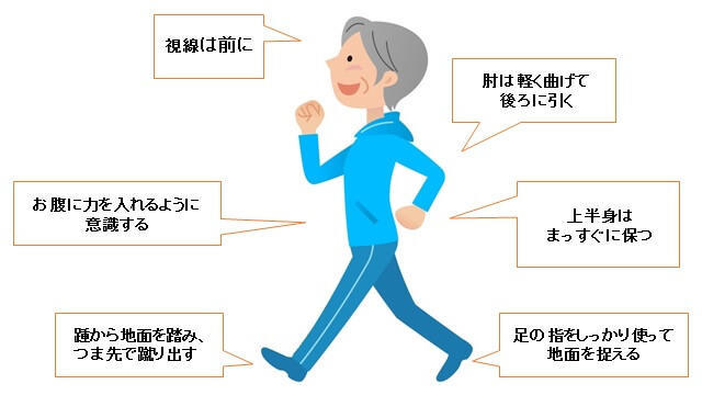 図1:ウォーキングの全身のフォームの基本的なポイントを表す図。